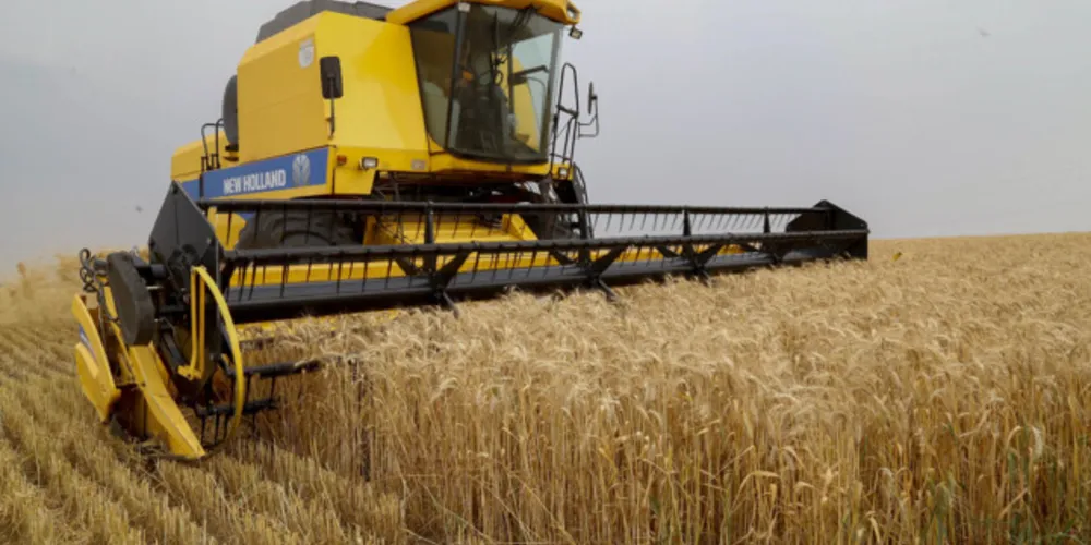 Região dos Campos Gerais é a maior produtora do Paraná, correspondendo a 16,3% do total estadual