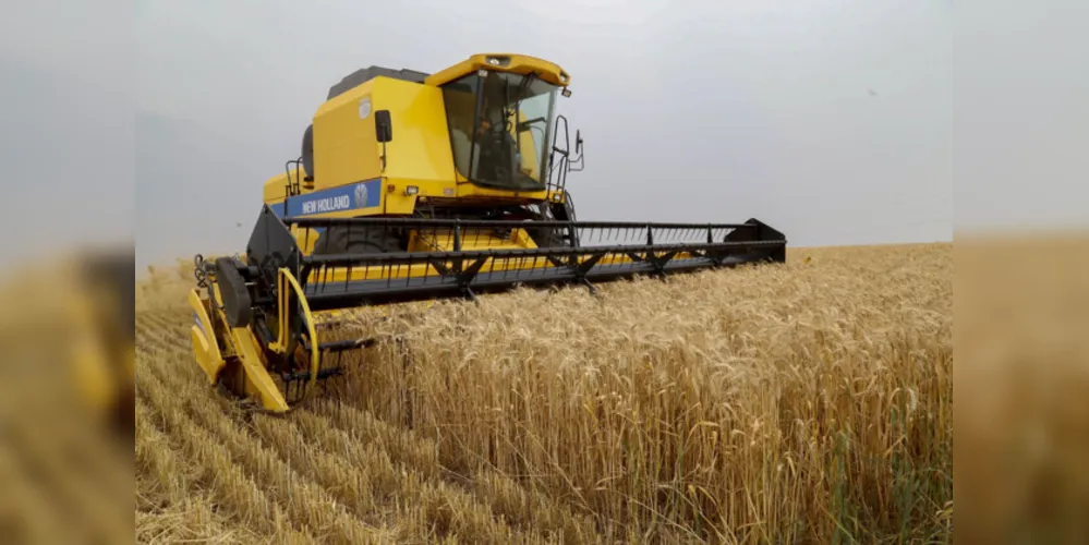 Região dos Campos Gerais é a maior produtora do Paraná, correspondendo a 16,3% do total estadual