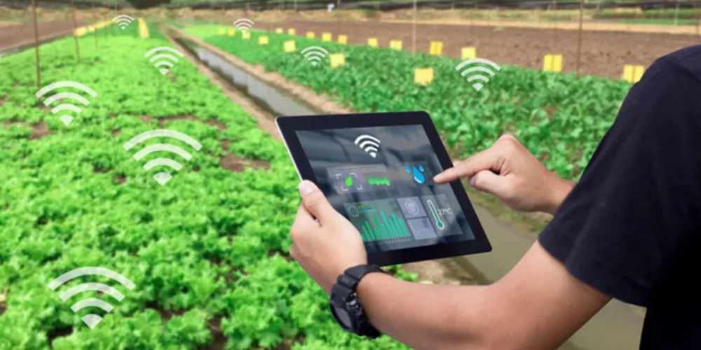 Especialista diz que, em cerca de quatro anos, a nova tecnologia vai substituir a atual e também parte da rede fixa