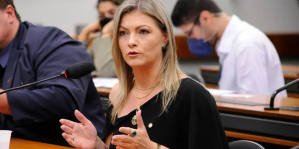 Deputada criticou decisão do ministro Luís Roberto Barroso tomada neste final de semana