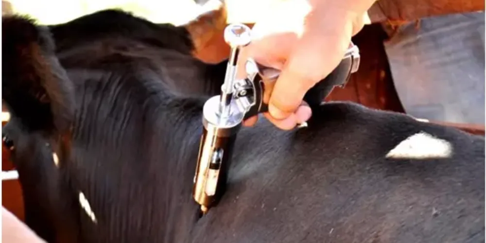 Caso alerta para alta na incidência deste tipo de ocorrência na região