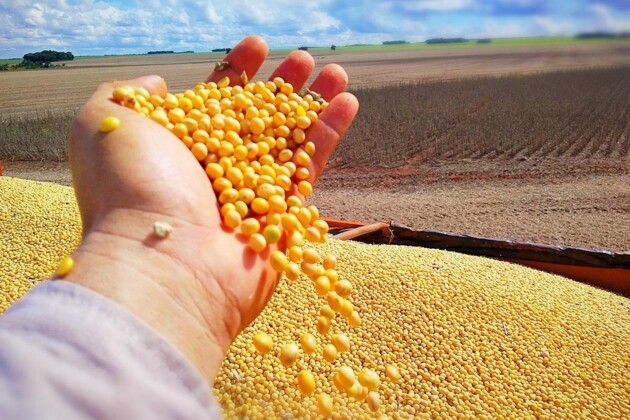 O crescimento é impulsionado pela recuperação da produtividade do milho