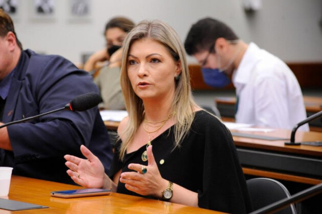 Deputada criticou decisão do ministro Luís Roberto Barroso tomada neste final de semana