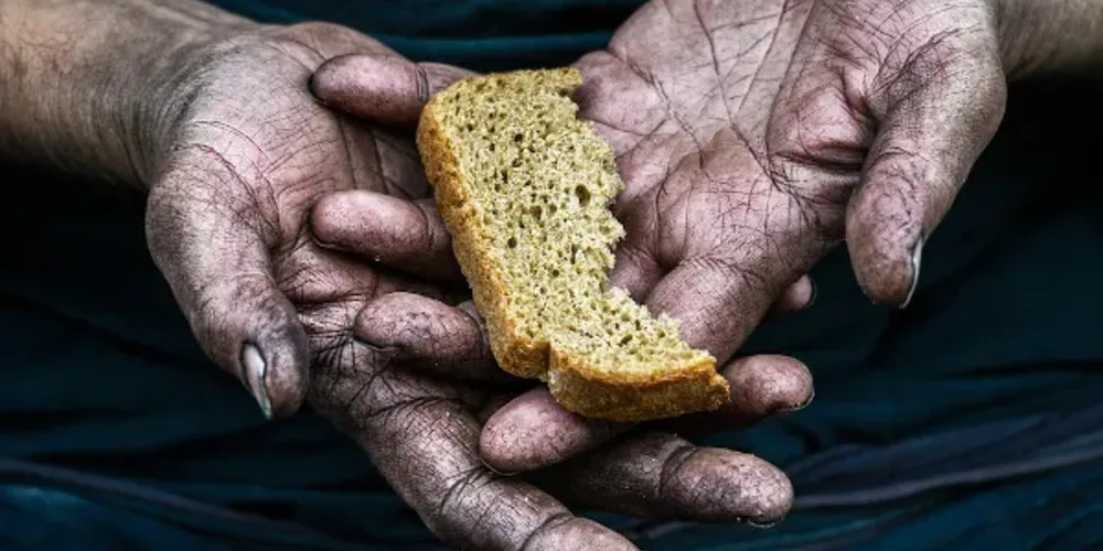 Uma realidade que poderia ser evitada caso o Brasil deixasse de desperdiçar uma média 27 milhões de toneladas de alimentos por ano.