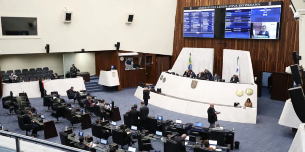 Candidato mais votado, de acordo com a apuração final dos votos, foi Alexandre Curi, do Partido Social Democrata (PSD)