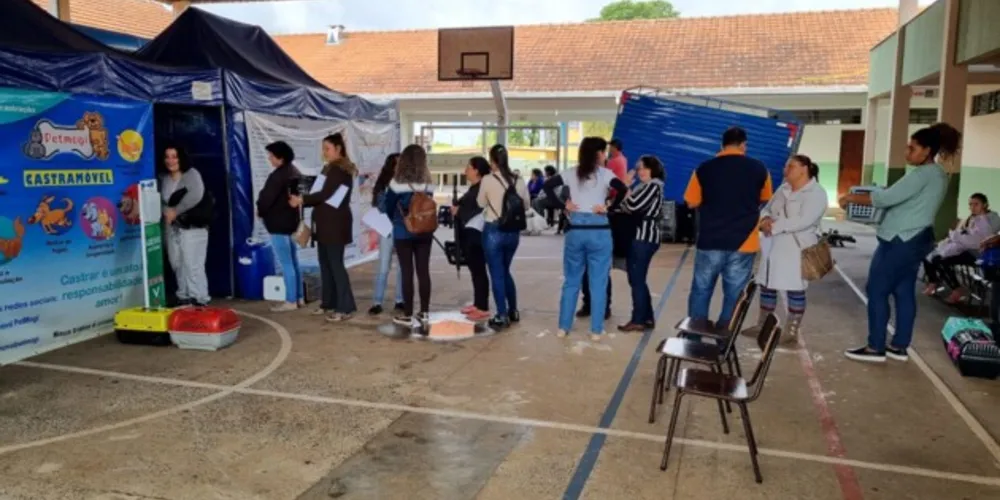 Ações do CastraPet foram trazidas ao município pela Prefeitura