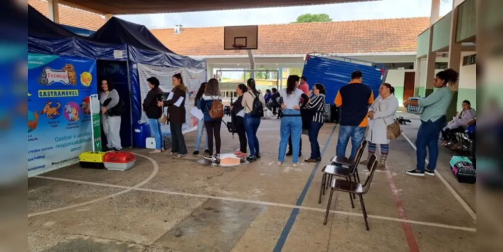 Ações do CastraPet foram trazidas ao município pela Prefeitura