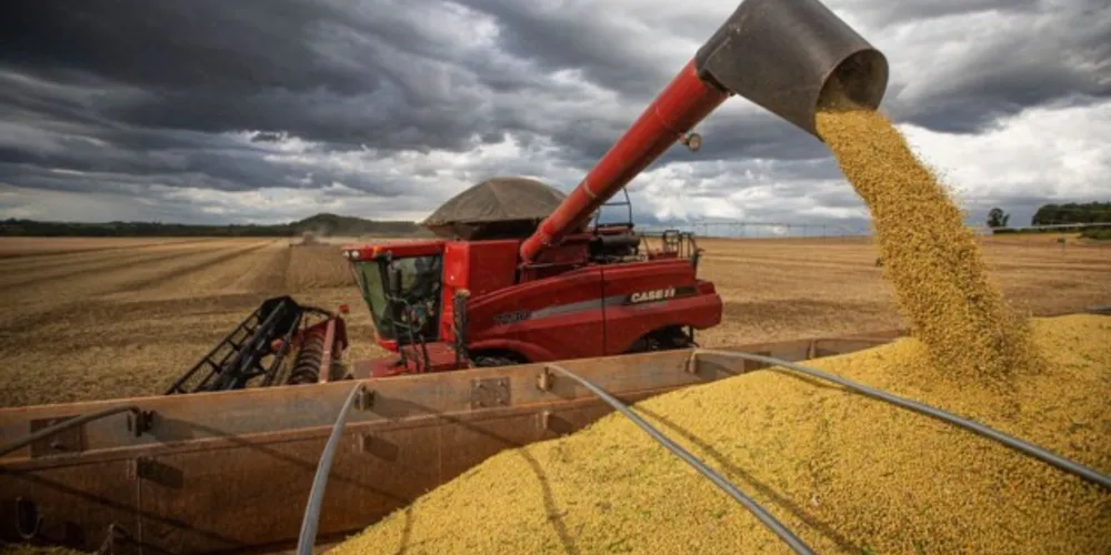 Com uma produtividade esperada em 3.551 kg/ha, a estimativa é que a produção de soja fique em torno de 153,5 milhões de toneladas