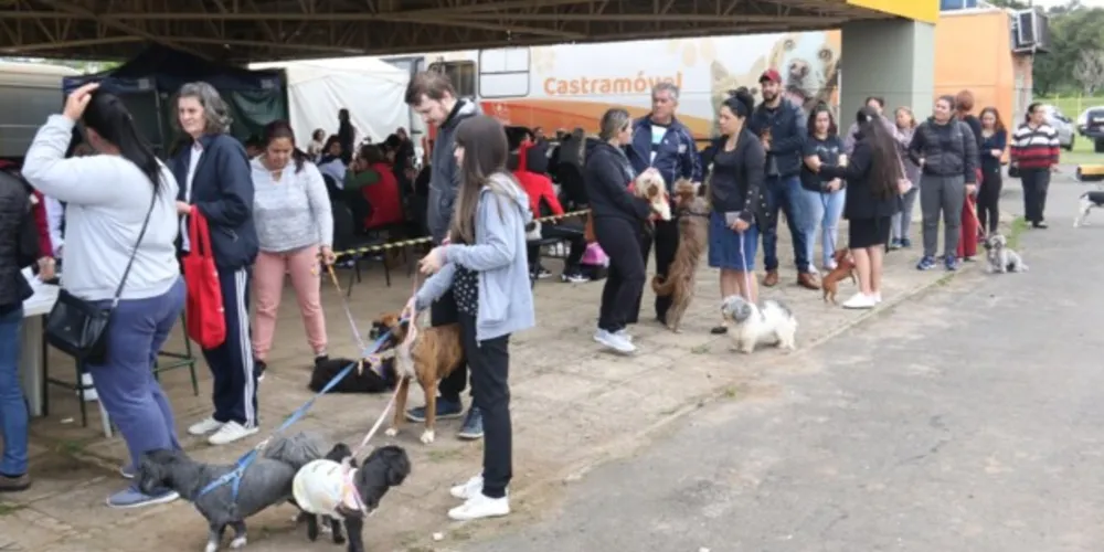 Iniciativa do Governo do Estado realizada em parceria com a Prefeitura de Ponta Grossa garantirá mais de 1.100 castrações até sexta-feira