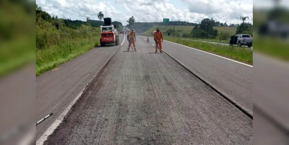 Serviços vão atender 128,42 quilômetros de rodovia em oito municípios.