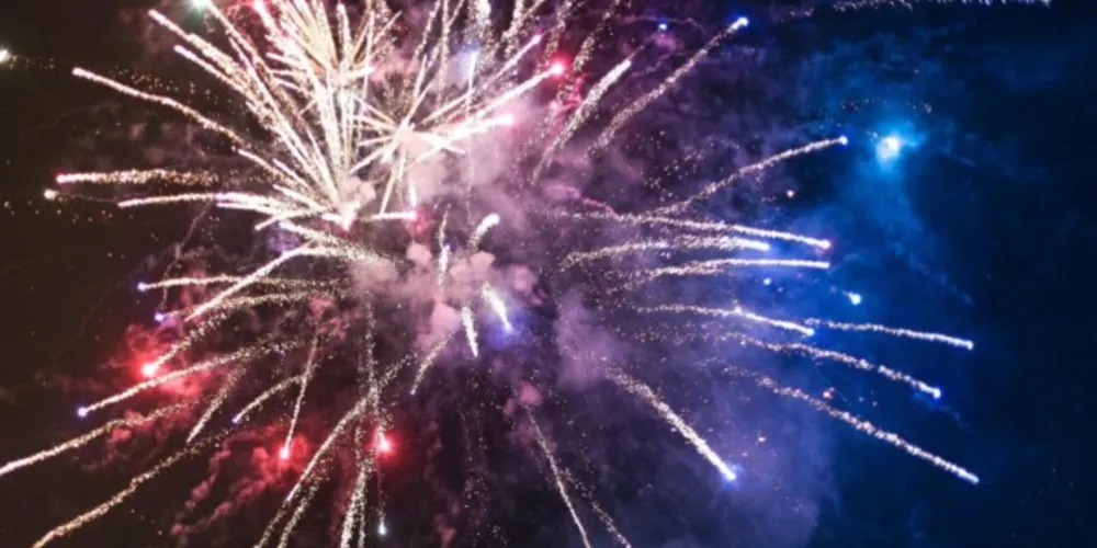 A proposta é de autoria da vereadora Josi Kieras, do Mandato Coletivo do Psol.