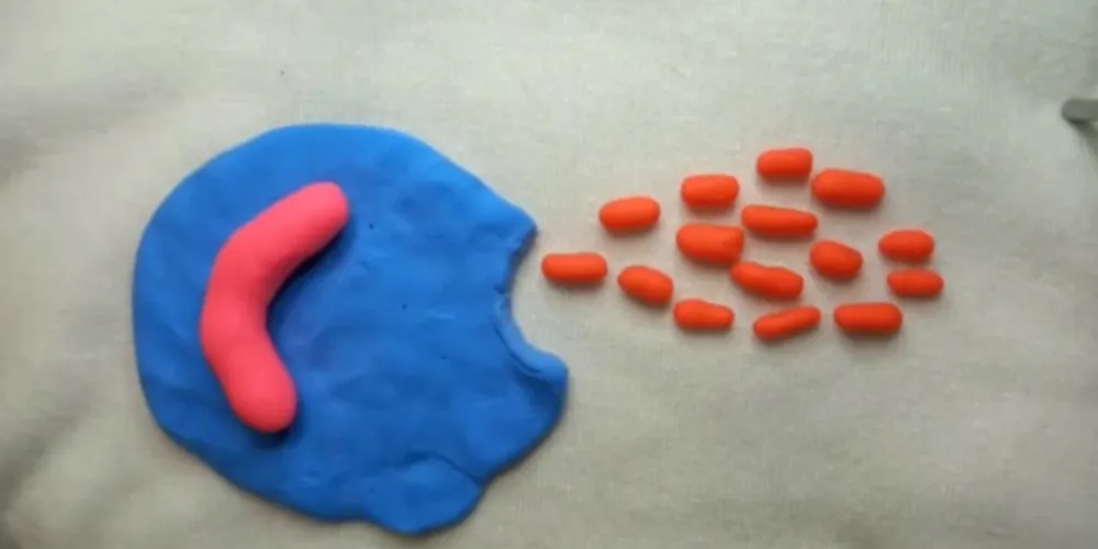 Estudantes utilizaram recursos como massinha e muita criatividade no trabalho