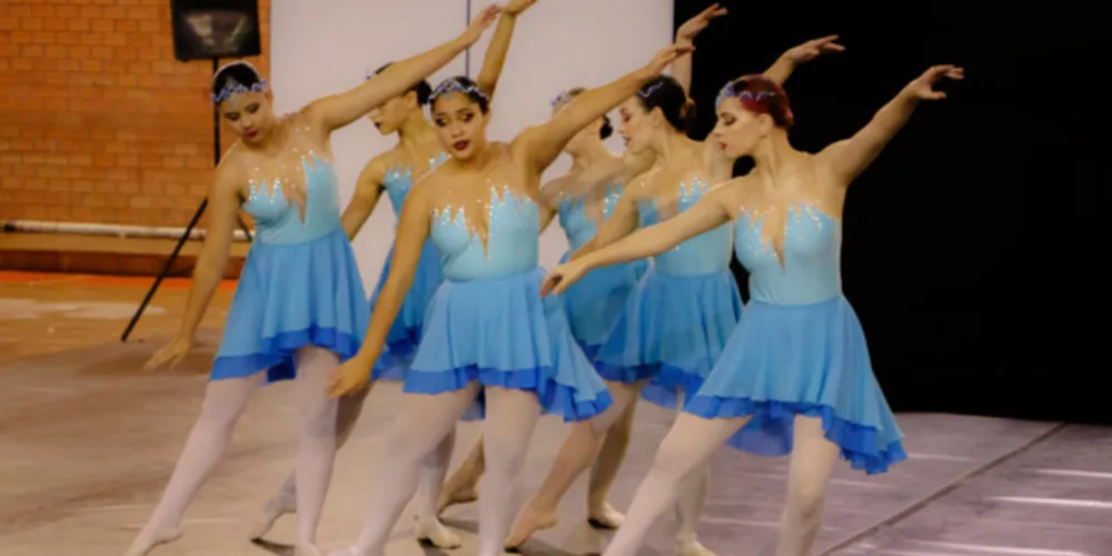 Promovido pelo projeto de extensão Dança na UEPG, do curso de Educação Física, o evento reúne estudantes, professores, bailarinos e amantes da dança na região.