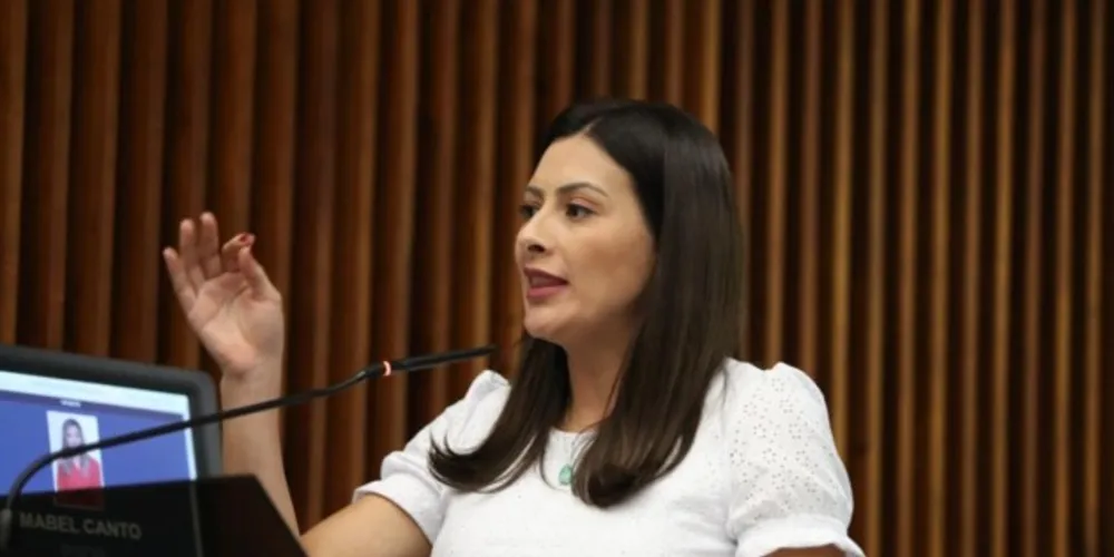 A deputada estadual Mabel Canto (PSDB) se manifestou contra o projeto de lei na tribuna da Assembleia Legislativa do Paraná.
