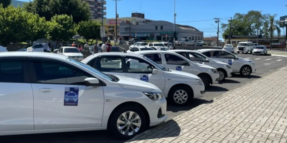 Renovação da identificação dos táxis que operam no Município começou na semana passada