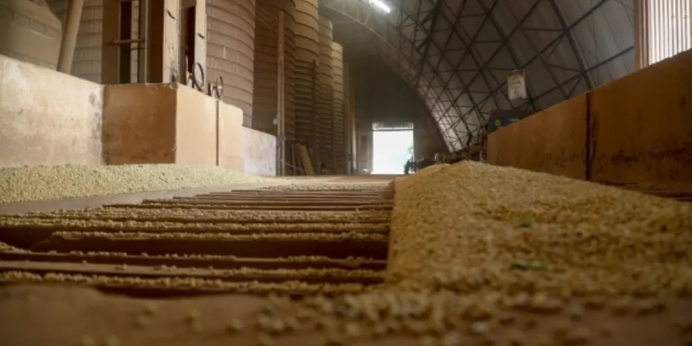 Somente em farelo de soja, valor exportado pelas empresas de Ponta Grossa passou de R$ 4,5 bilhões