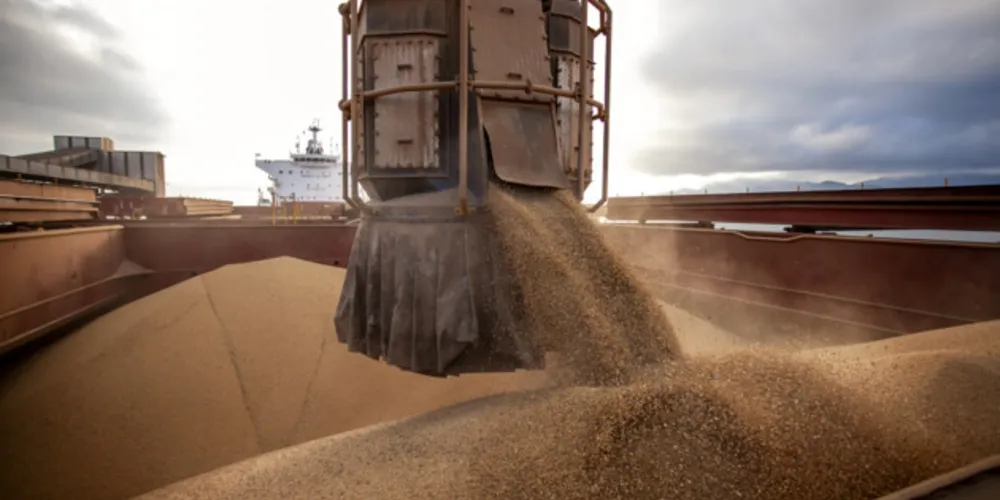 Paranaguá é o município que mais exporta soja no Estado; Ponta Grossa é líder estadual em farelo de soja