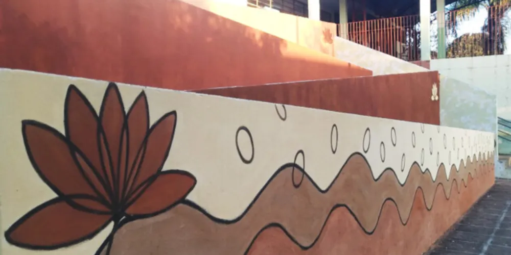 Projeto utiliza terra coletada em bairros de Ponta Grossa para criar tintas usadas em murais artísticos