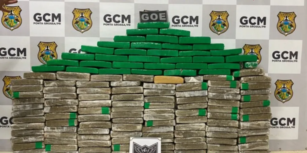 113 kg de maconha foram apreendidos pelos agentes de segurança