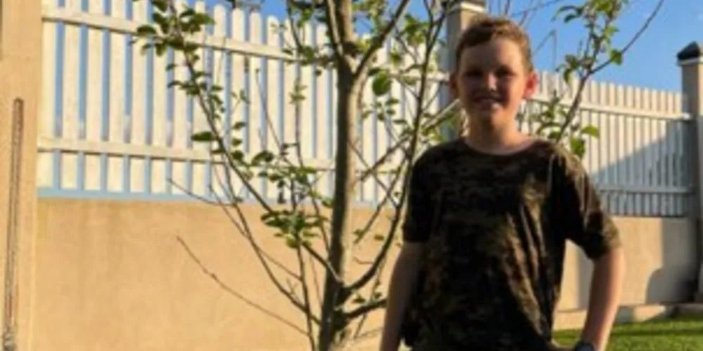 Fotos, desenhos e interação marcaram ampla dinâmica sobre as árvores com as turmas