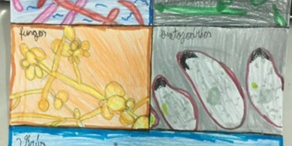 Ilustrações mostraram um pouco do aprendizado agregado em sala