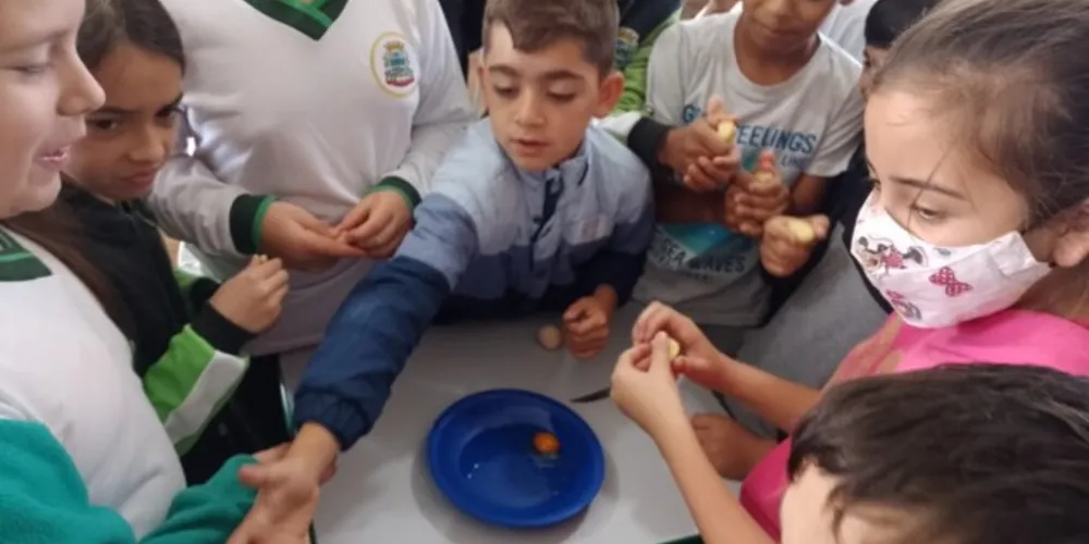 Esta aula específica foi uma experiência muito divertida e enriquecedora para a turma toda, pois todos se sentiram envolvidos e curiosos em ajudar e descobrir como e por que a transformação reversível acontece em alguns alimentos e em outros não
