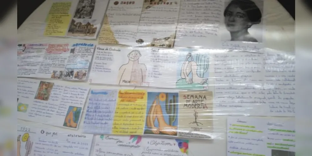 E a proposta principal da atividade proposta pela professora Luiza consiste na criação de um fanzine