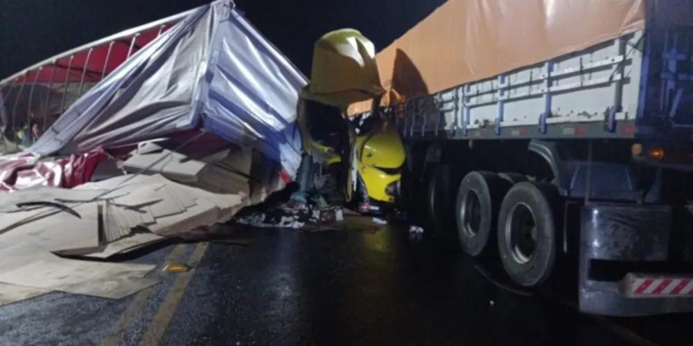 Cargas de farelo de soja e papel ficaram espalhadas na pista