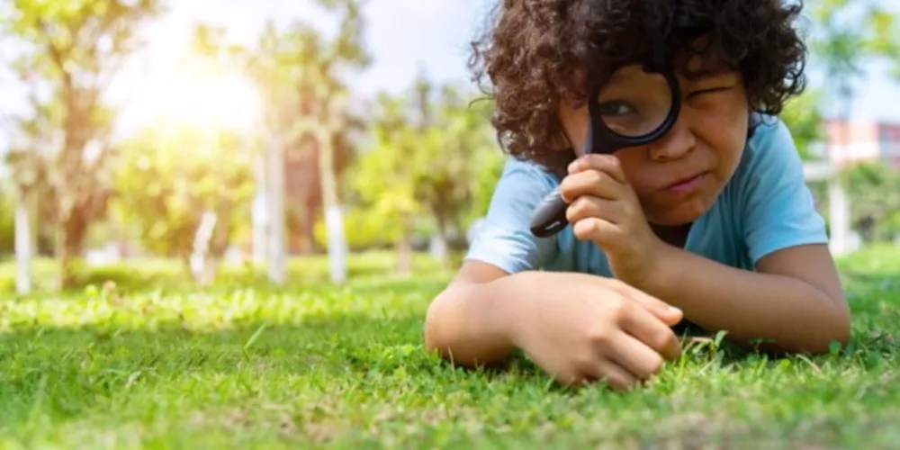 Parque Estadual de Vila Velha, em Ponta Grossa, é roteiro fundamental para alunos e professores