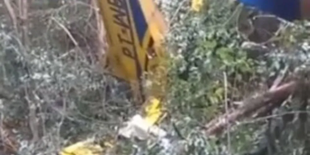 Apesar dos danos na aeronave, piloto saiu ileso