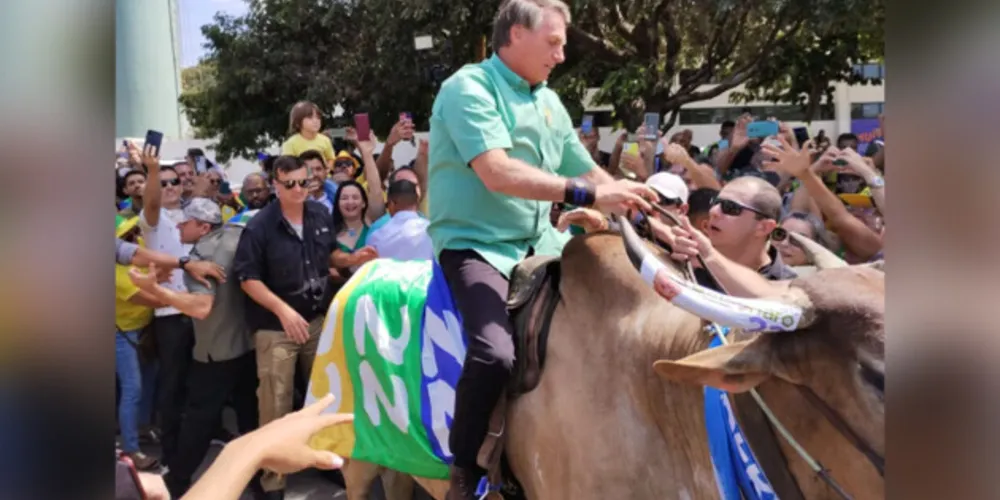 Partido afirma haver série de falhas no TSE que podem afetar o resultado das eleições