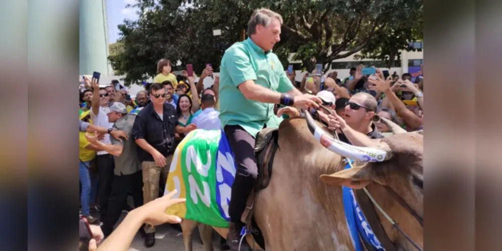 Partido afirma haver série de falhas no TSE que podem afetar o resultado das eleições