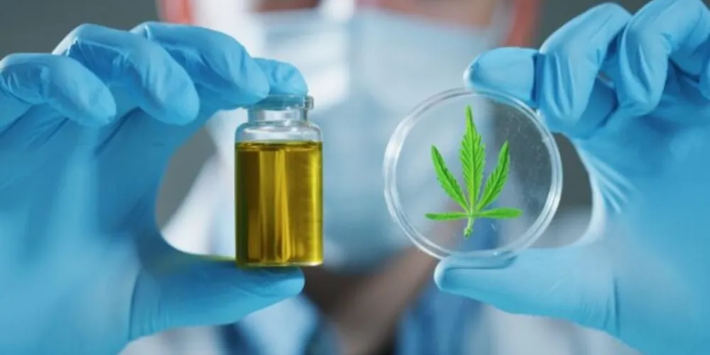 A decisão foi tomada na manhã de ontem (24) em reunião plenária extraordinária e publicada hoje (25)