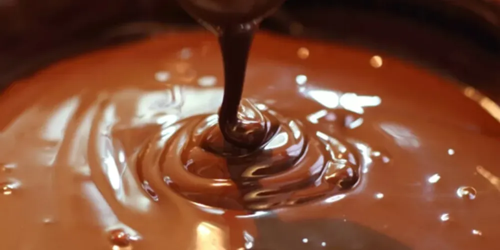 Garoto está recolhendo lotes voluntariamente; barras de 80g dos sabores 'Castanhas de Caju' ou 'Castanhas de Caju e Uvas Passas' podem ter sido contaminados