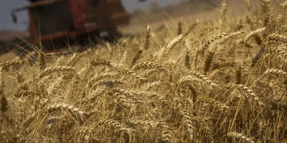 Dados são do terceiro levantamento da Conab