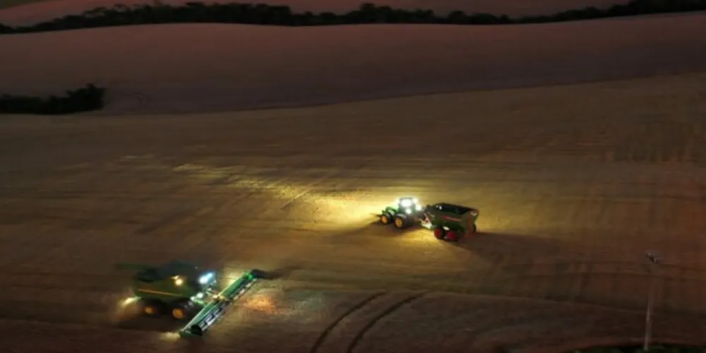 Produto que mais gera riquezas na região dos Campos Gerais é a soja