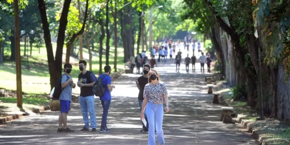 Governo do Estado lança curso de sustentabilidade para universitários