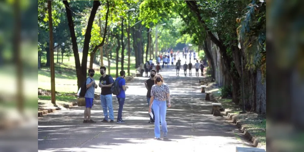 Governo do Estado lança curso de sustentabilidade para universitários