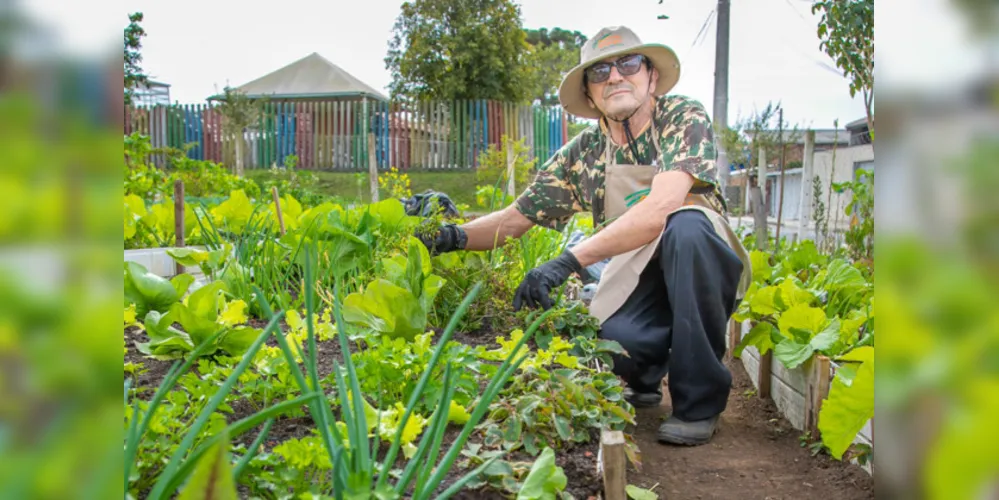 Hortas urbanas sob linhas de energia produzem toneladas de alimentos