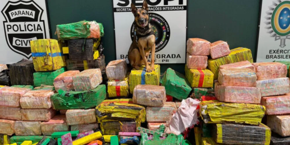 Estima-se um prejuízo de R$ 6 milhões para o crime organizado