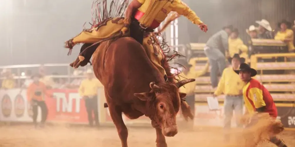 Festividade contará com diversas atrações musicais, praça de alimentação, parque de diversões, montaria em touros e outras atividades