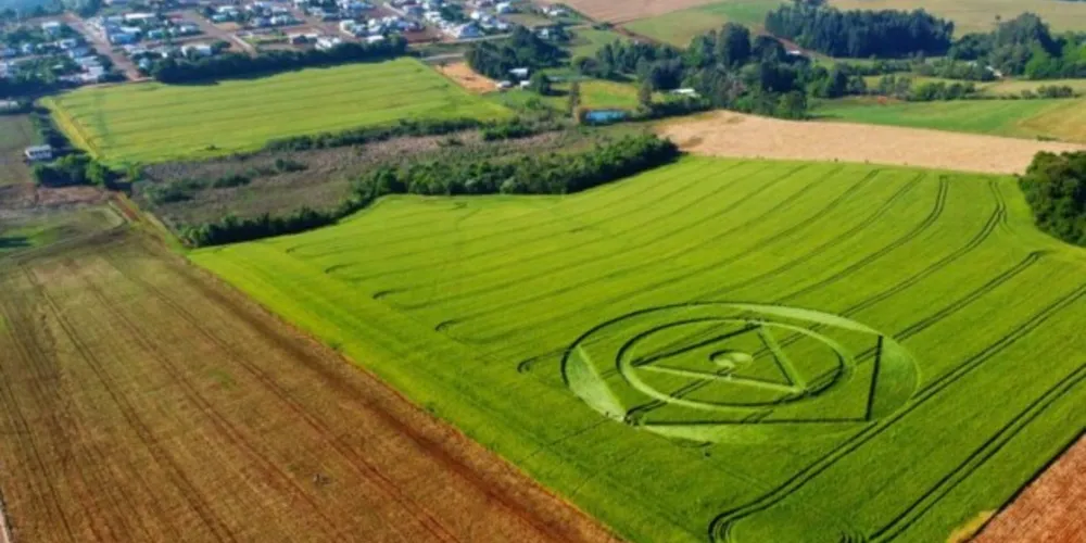Círculo misterioso aparece em plantação de trigo