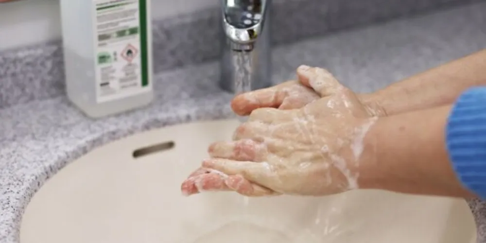 Tema é indispensável para evitar doenças e melhorar bem-estar de todos