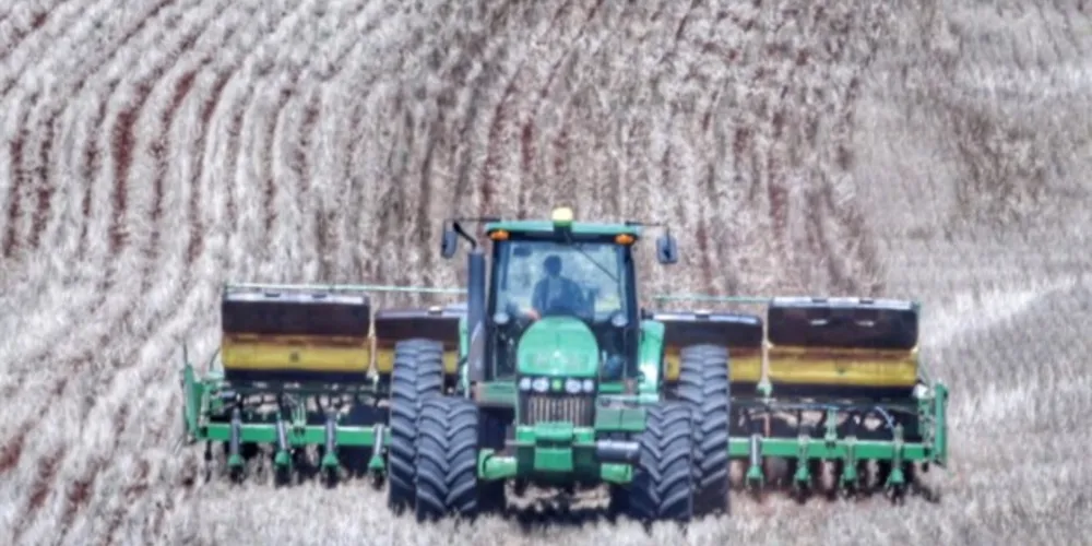 No campo, 37% da área está em germinação e 63% na fase de desenvolvimento vegetativo