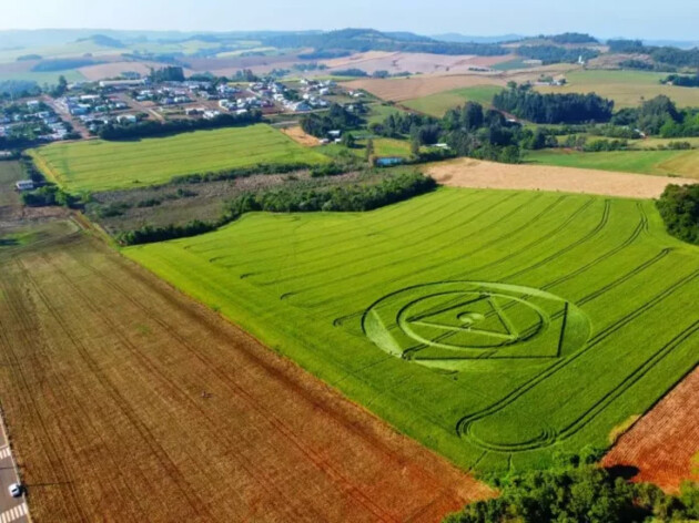 Desenho apareceu no início de outubro em uma plantação de trigo no município de Ipuaçu