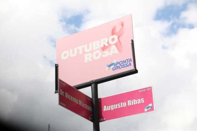Placas ficarão instaladas na avenida Vicente Machado em alusão ao 'Outubro Rosa'