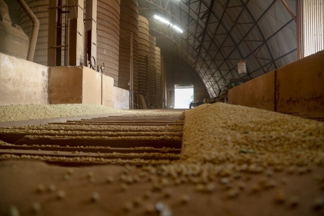 Somente em farelo de soja, valor exportado pelas empresas de Ponta Grossa passou de R$ 4,5 bilhões