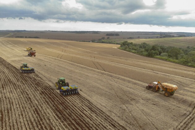 Os 31 municípios dos Campos Gerais foram responsáveis por 15,89% do VBP estadual da soja em 2021. Produto é o principal em 26 cidades