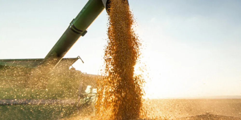 De acordo com o prefeito Artur Butina (PSC), assumir essa liderança é fruto de um trabalho duro de todos os produtores do município