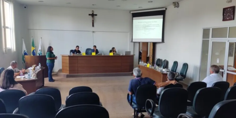 Secretária de Planejamento, Luana Ribeiro, explica que o projeto inclui oito leis distintas